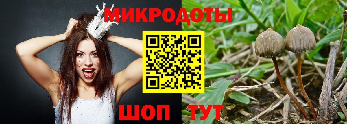 Галлюциногенные грибы мухоморы Ессентуки