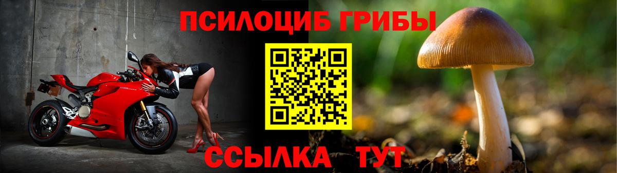 Ессентуки  Псилоцибиновые грибы мицелий  Вход с VPN 